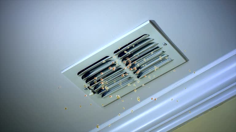 Best Home Air Vent Cleaning  in Elfers, FL