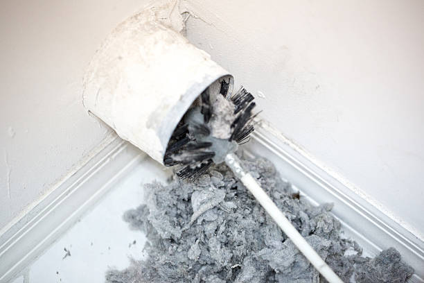 Best HVAC Duct Inspection Services  in Elfers, FL