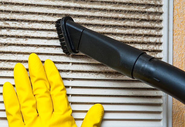 Best Professional Duct Cleaning Services  in Elfers, FL